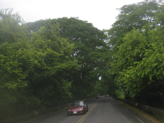 <p>
	05/07/12. Estrada de Puerto Quepos para Leon, Nicarágua, muito verde e ótima pista.</p>