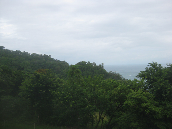 04/07/12. Puerto Quepos, Floresta Tropical, com vista para o mar! Lindo!
