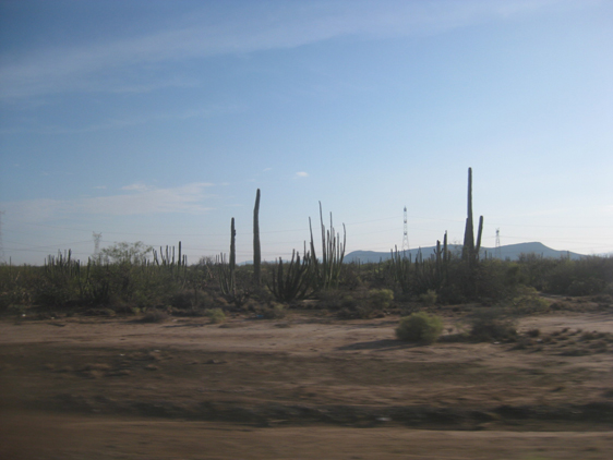 <p>
	19/07/12. Saindo do México para entrar no EUA, despedindo dos cactos, símbolo do deserto.</p>